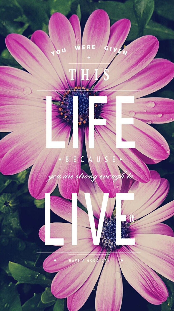 live life