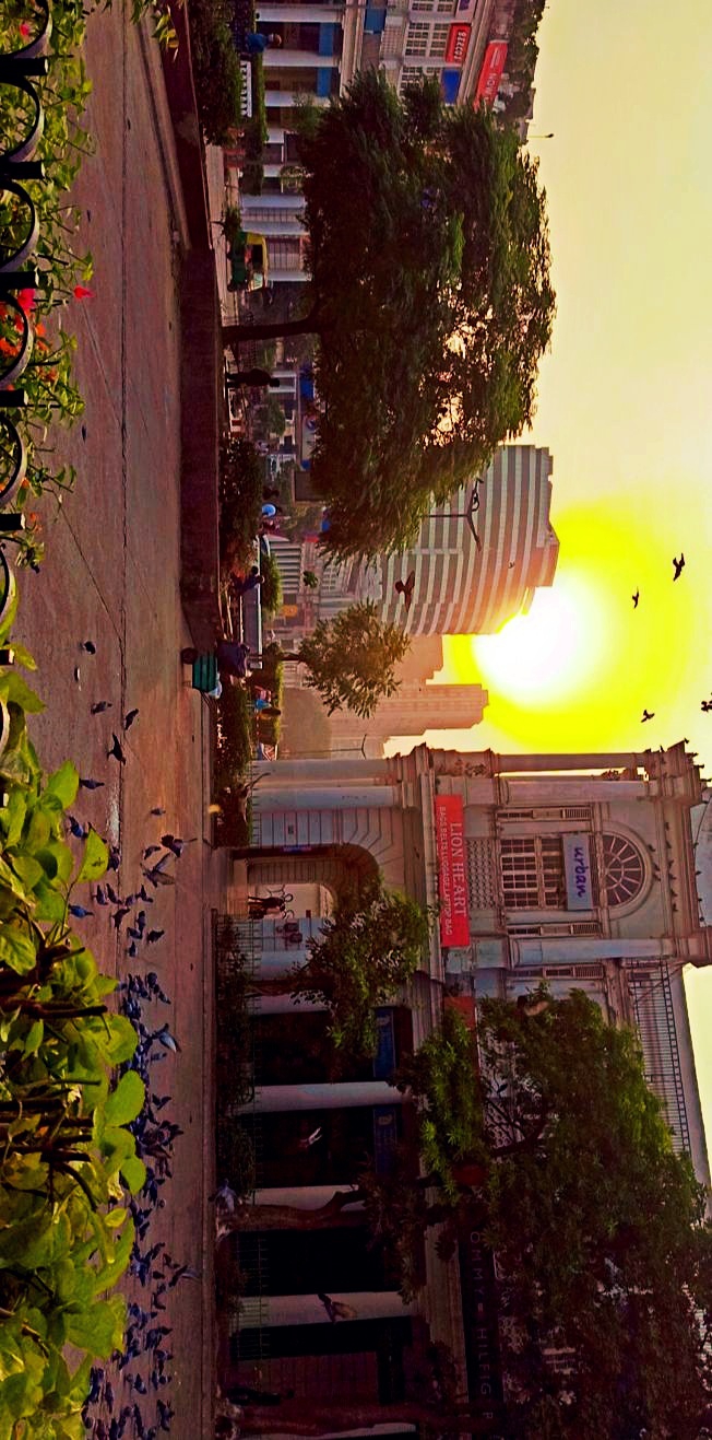 cannaughtplace