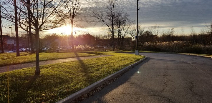 evening