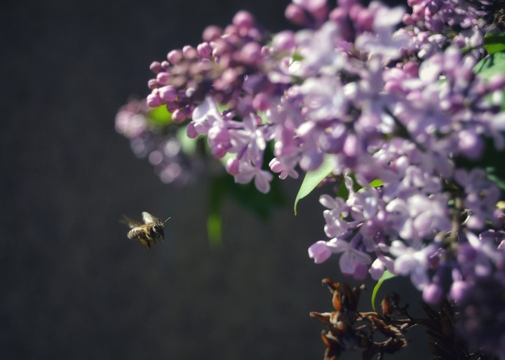 Beautiful spring!