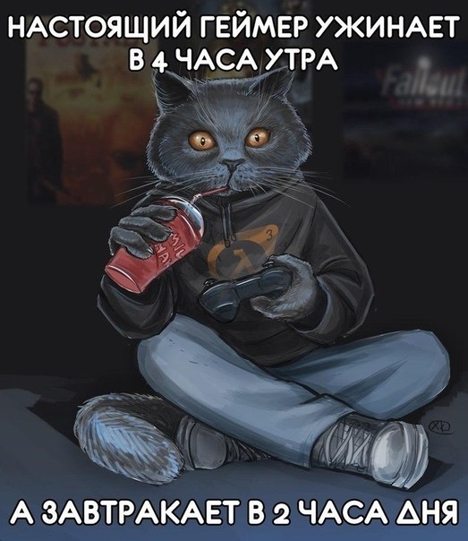 котэ