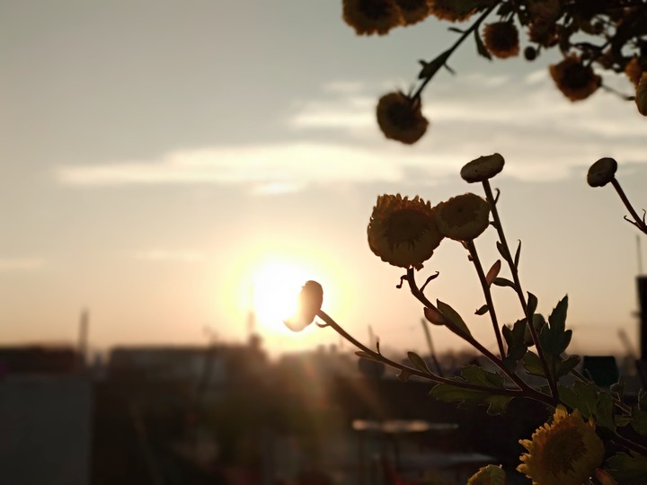 Morning Sunshine in Jabalpur(Madhya Pradesh)