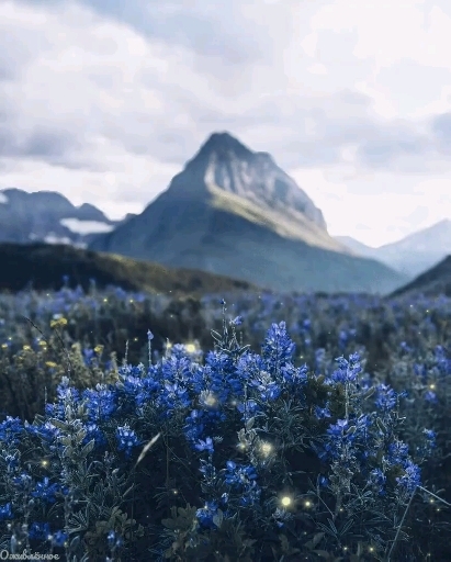 nature