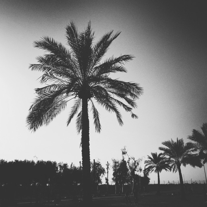 in iraq