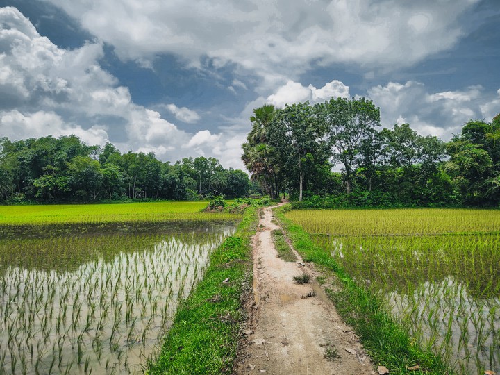 Village path