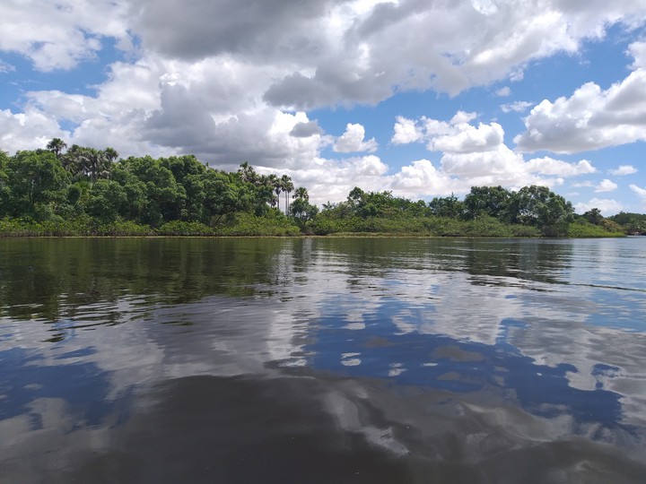 Rio Preguiça,  Preguiça River, Barreirinhas, MA, BRAZIL