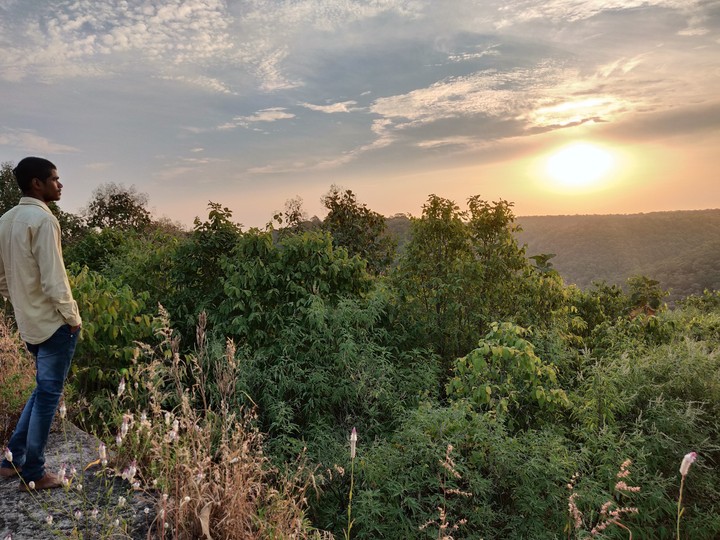beautiful nature