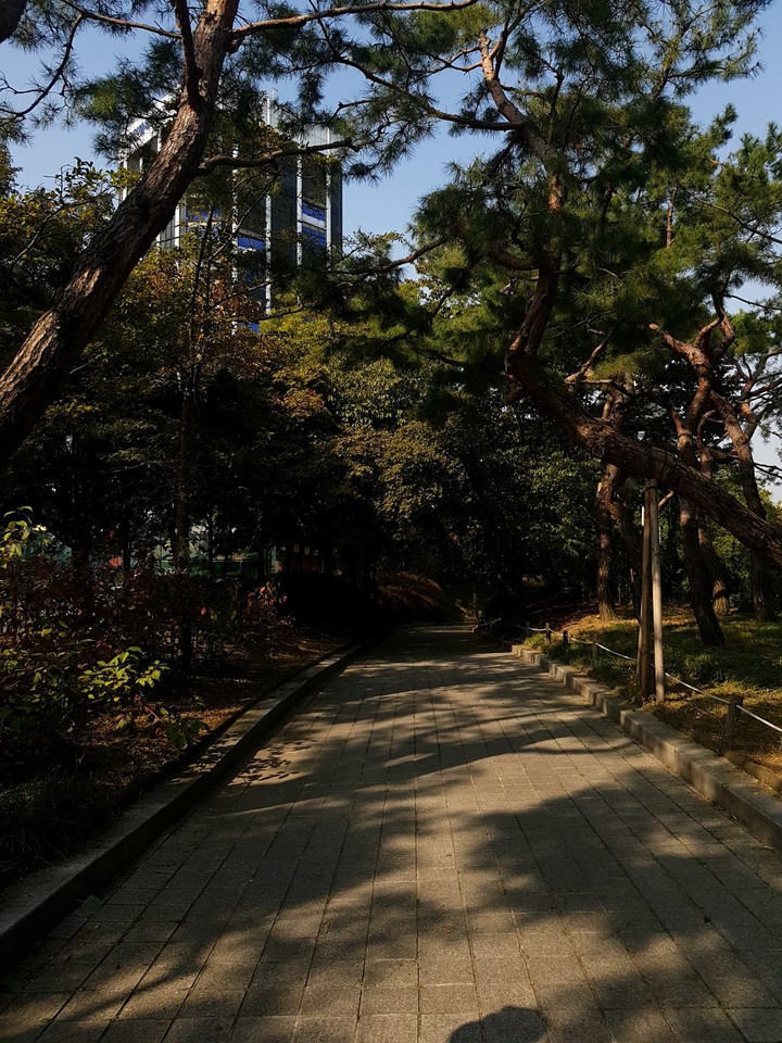 park