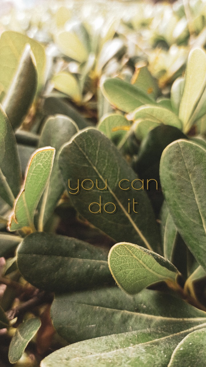 you can