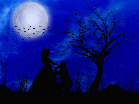 moon & love