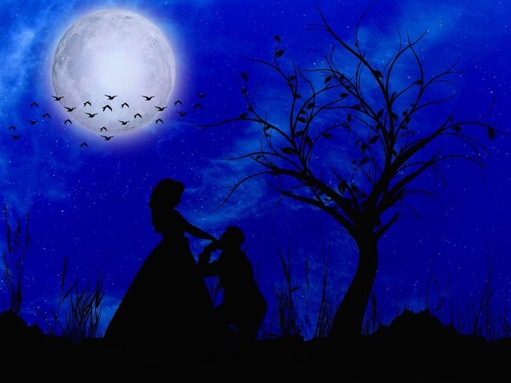 moon & love
