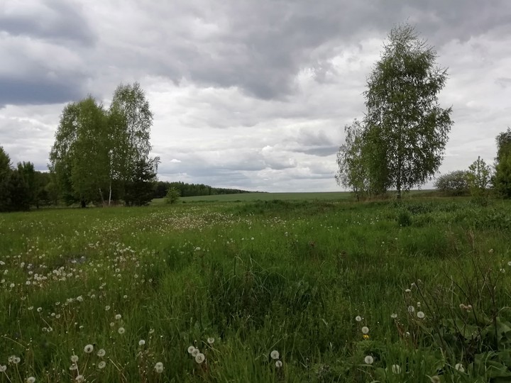 лето