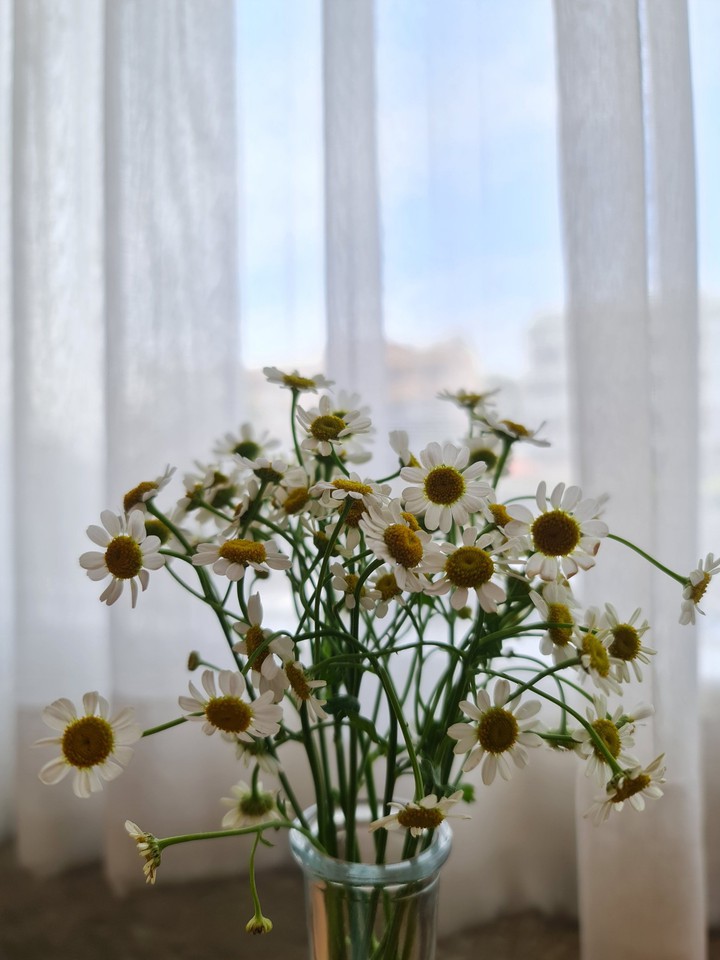 little bloom