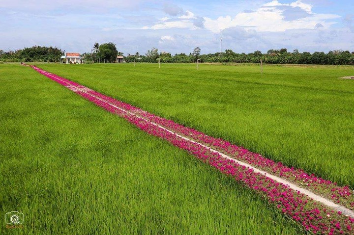 làng quê