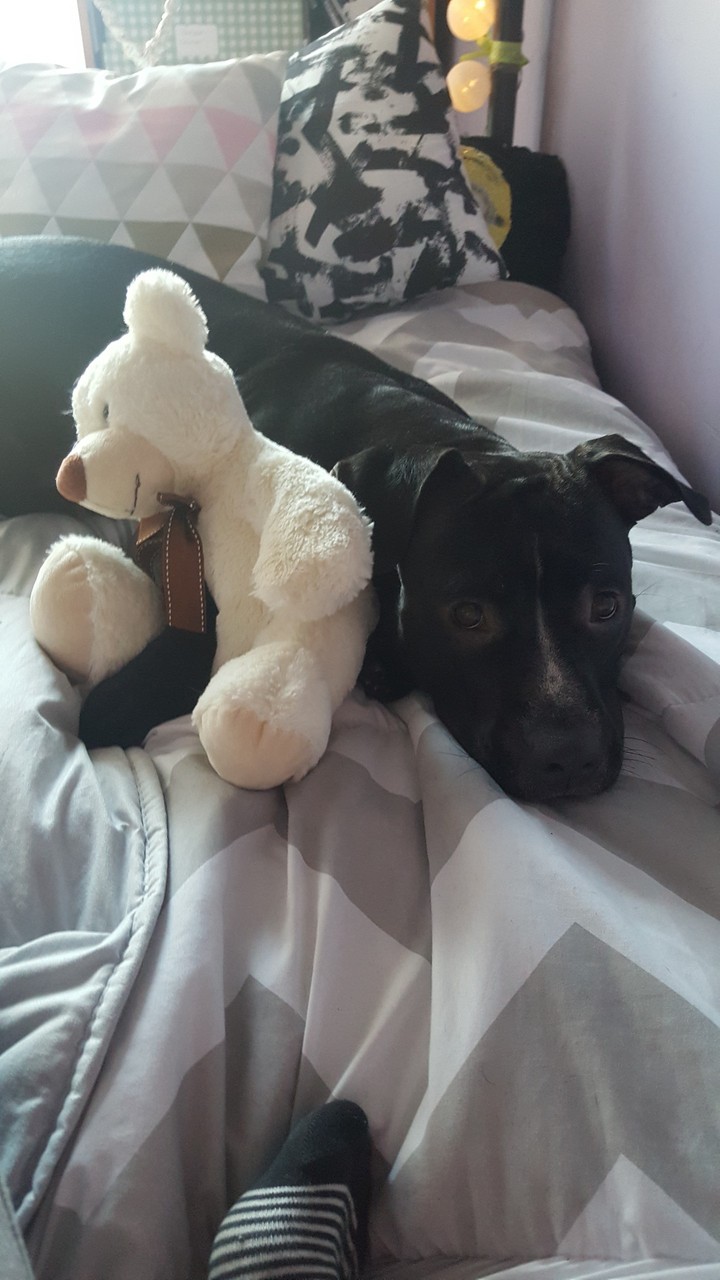 igigi
