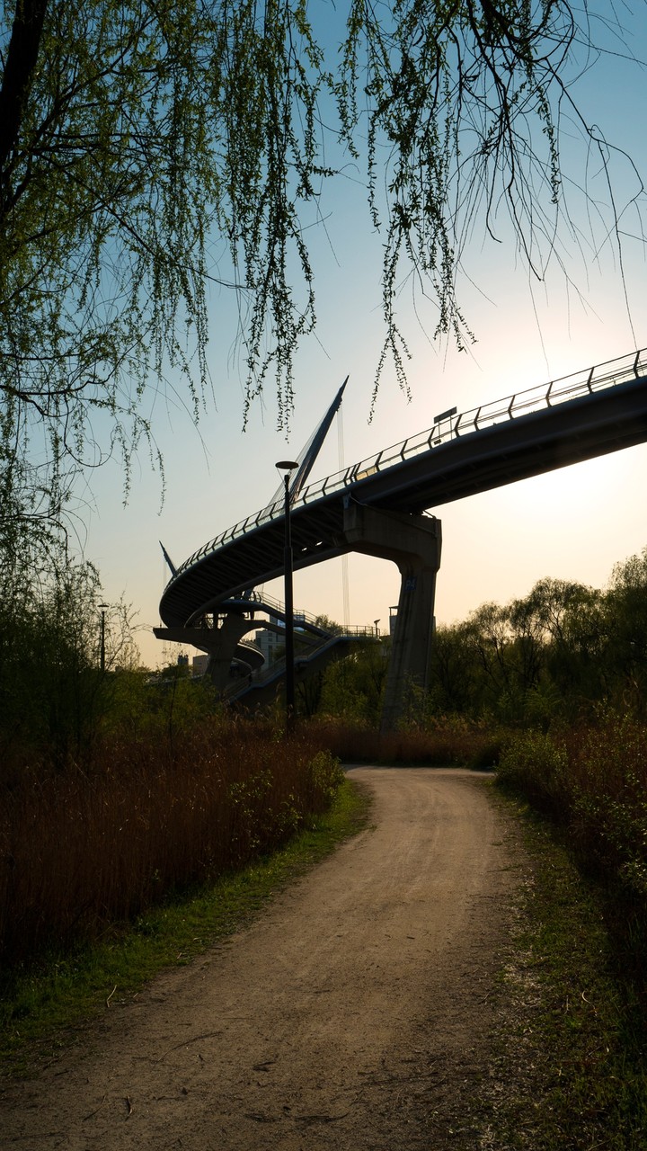 Sunrise over the Bridge