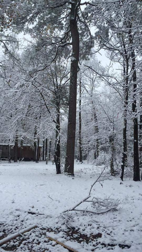 nieve