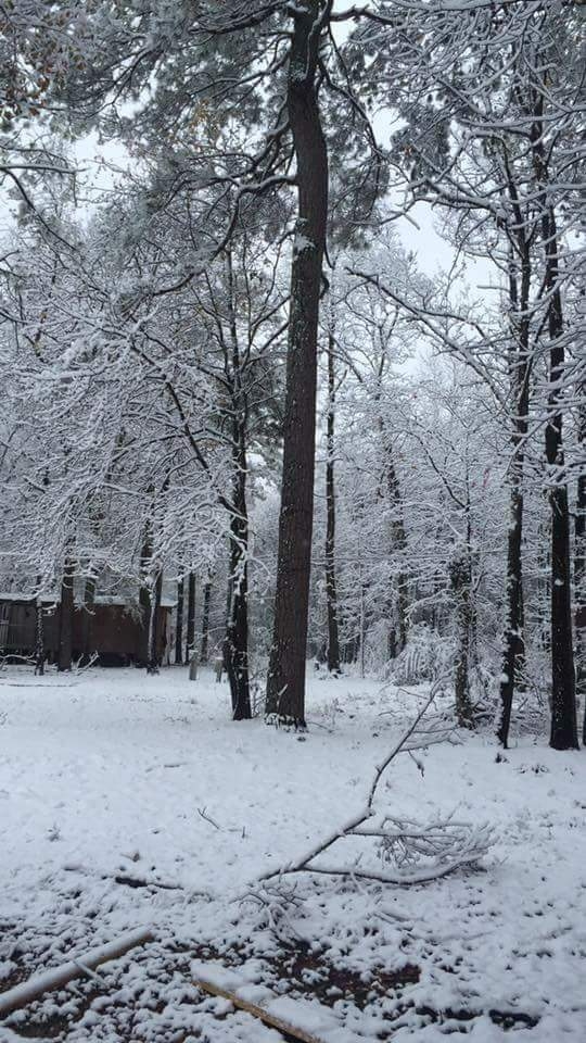 nieve