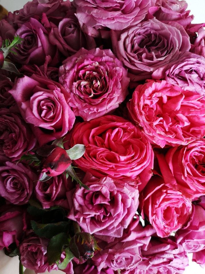 flowers