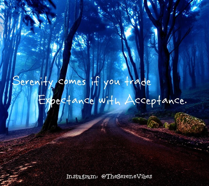 The Serene World...