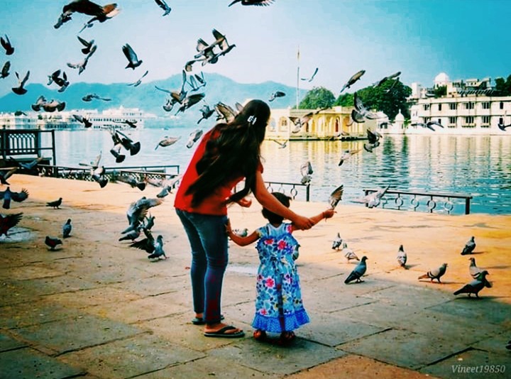 My Rajasthan  ❤