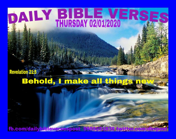 DAILY BIBLE VERSES