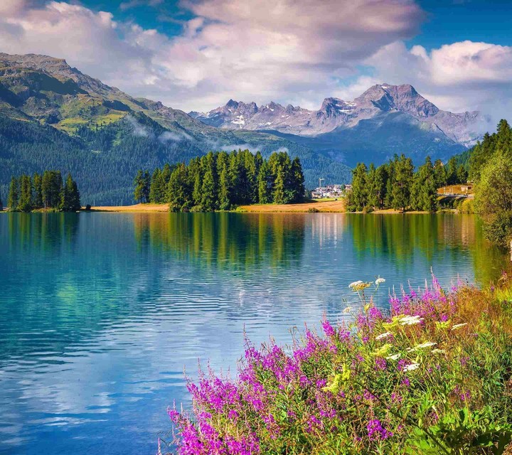 nature