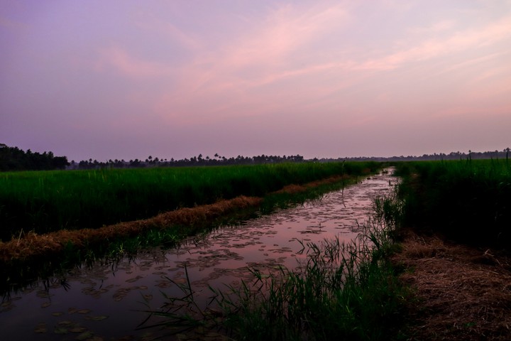 A river flowing in between fields