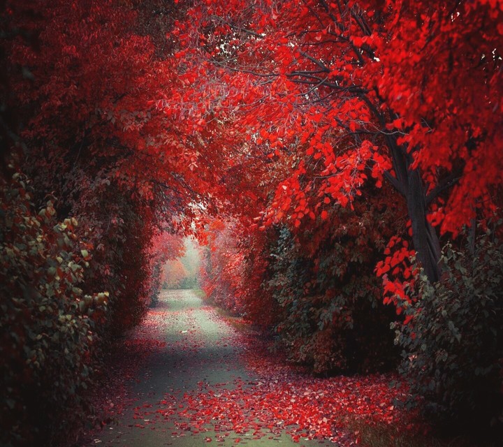 beautiful nature