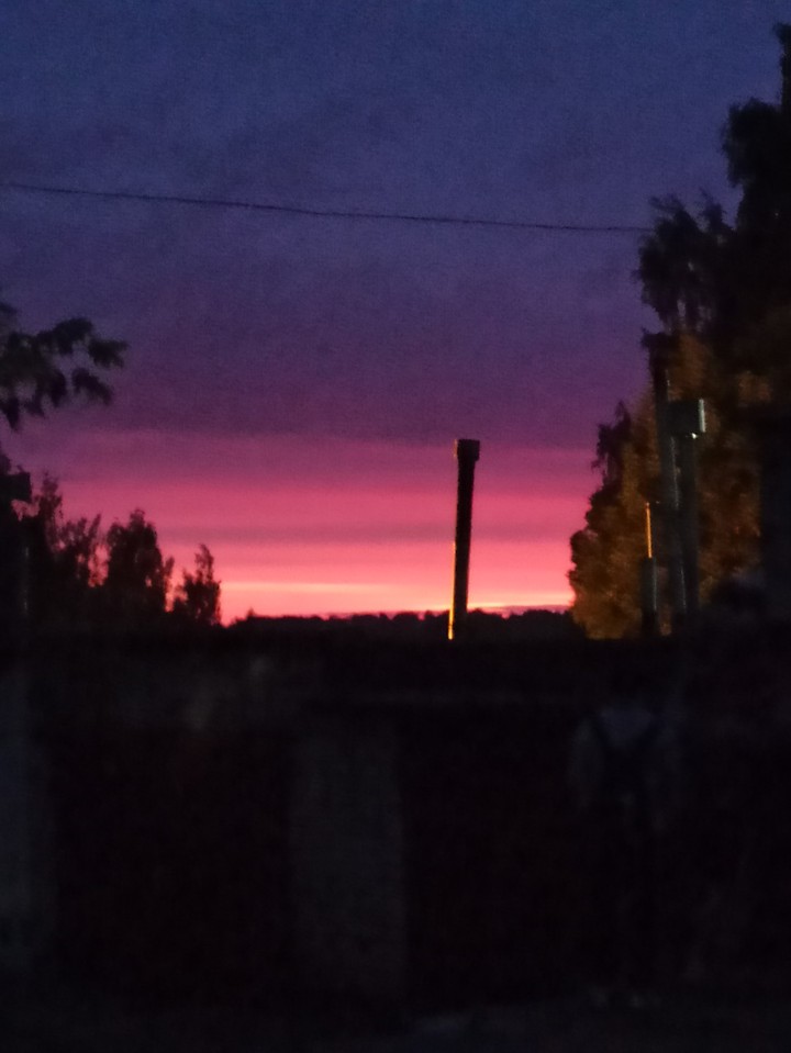 Розовый закат