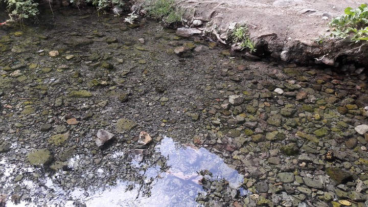 water