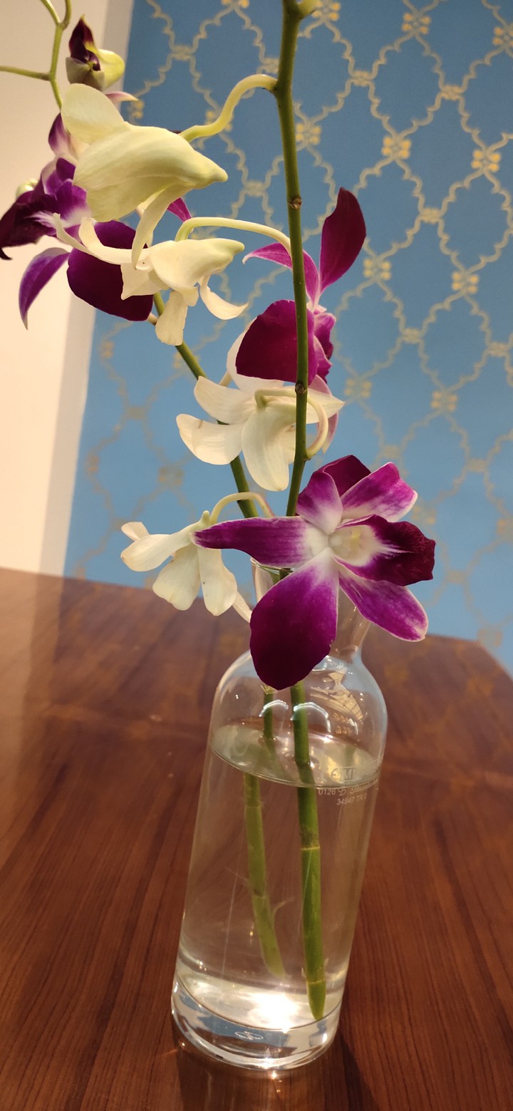 orchids
