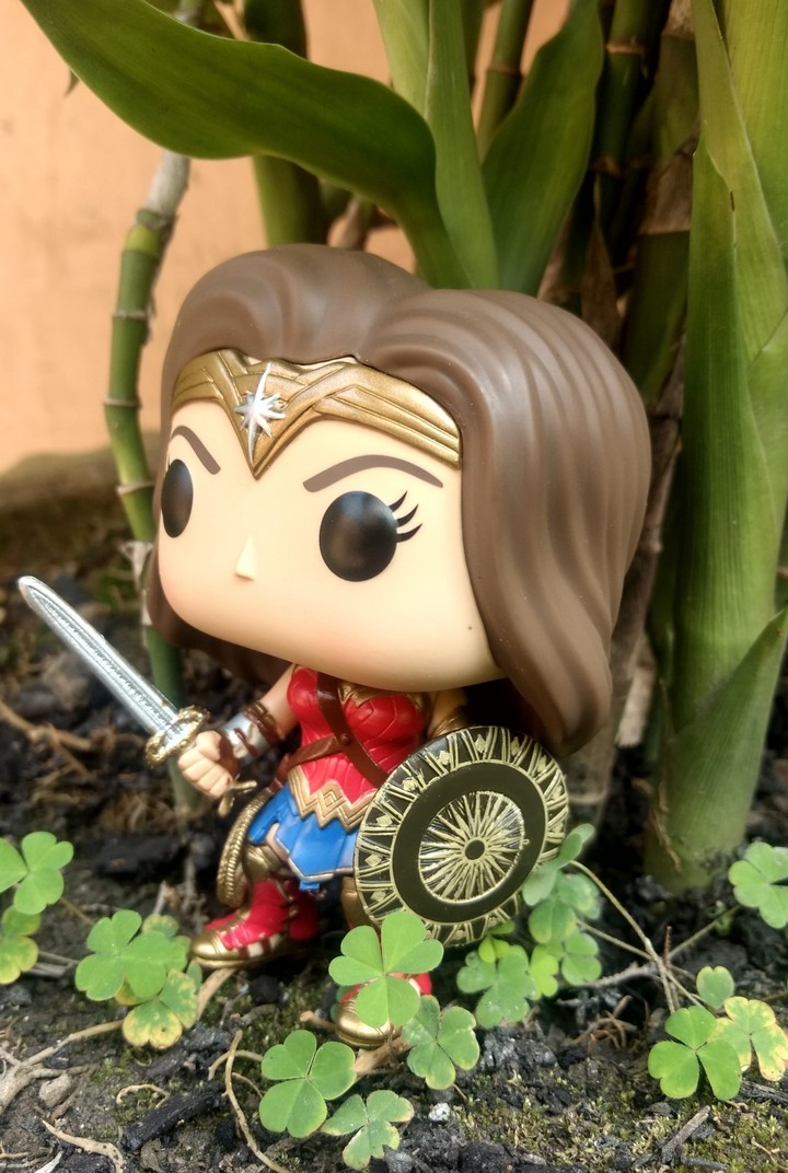 wonder women