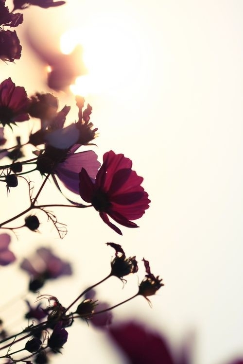 Your mind isn't a cage. It's a garden