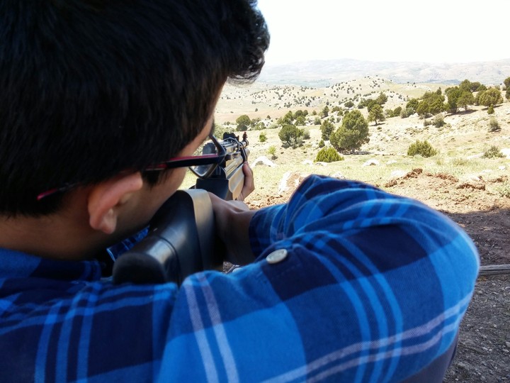 Shoot