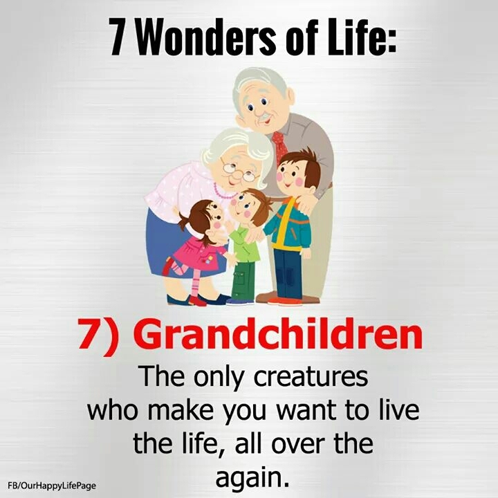 seven wonders