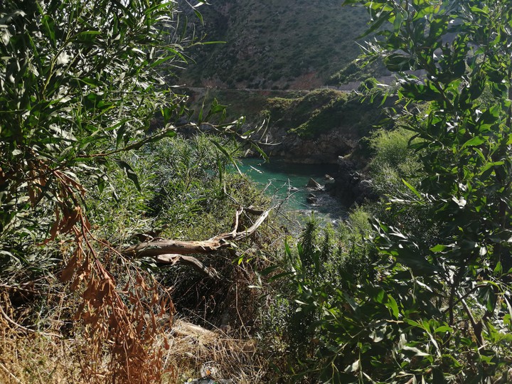 belle algerie