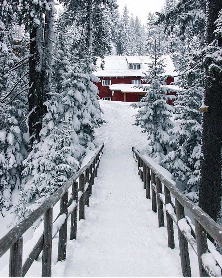 Karpaty Ukraine