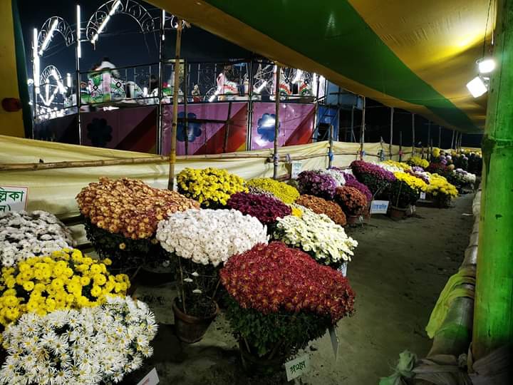 flowes ??