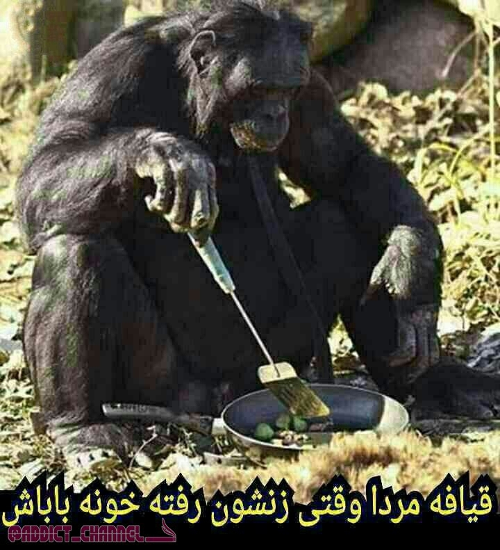 oooo