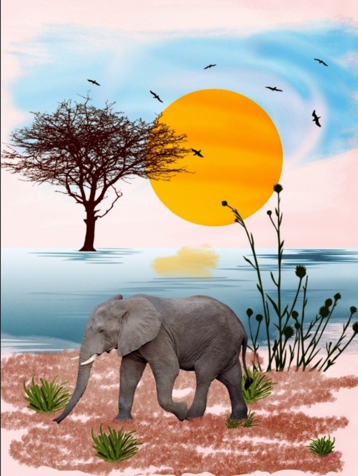 #irada_art
