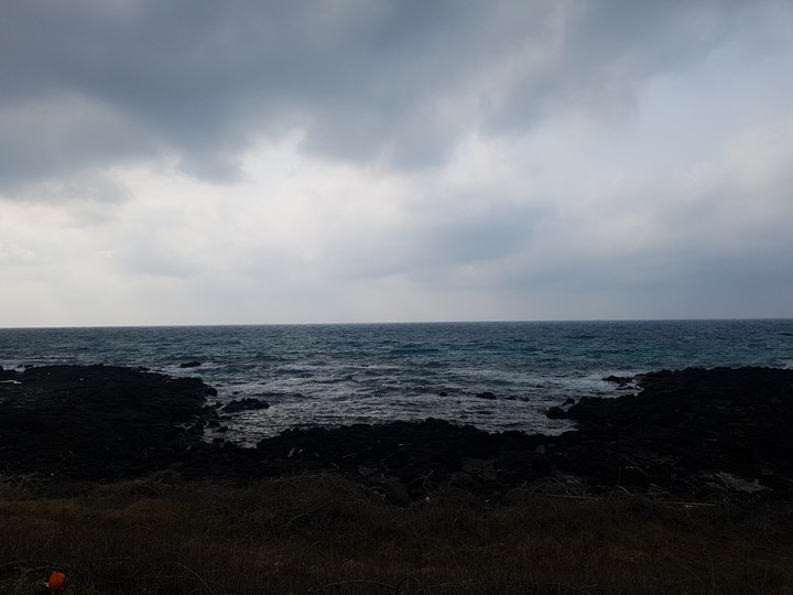 바다