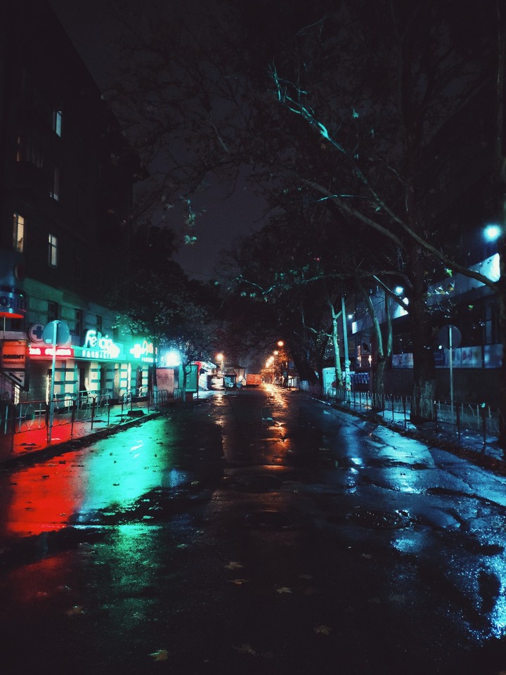 Night walk 2