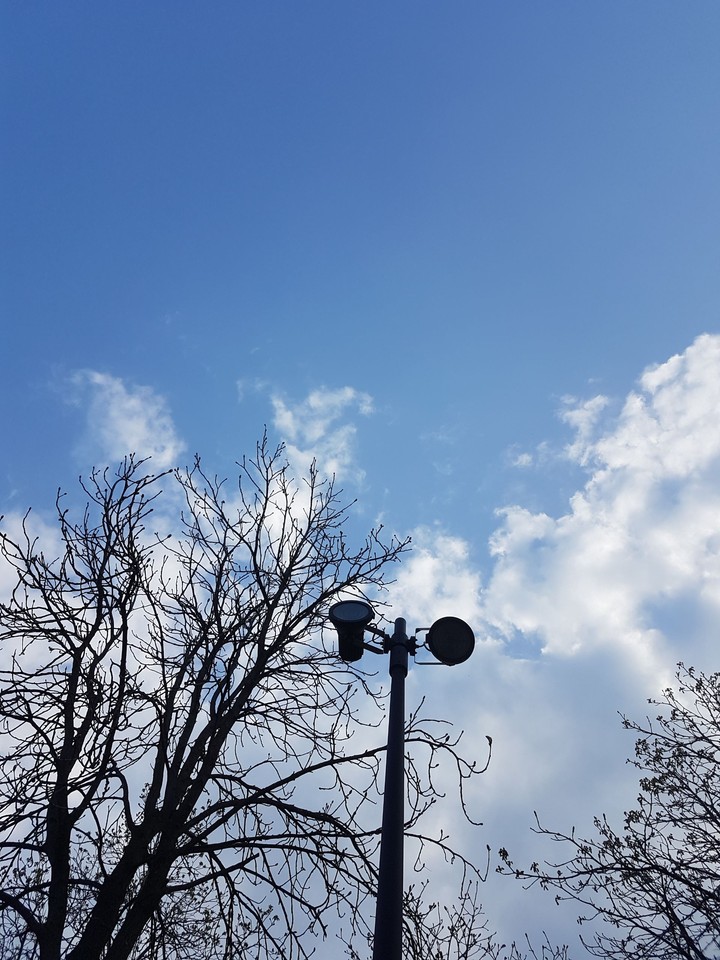 sky italy