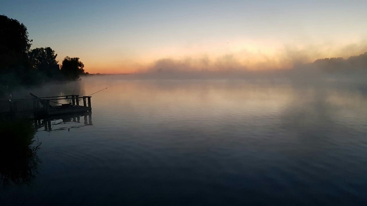 Foggy morning