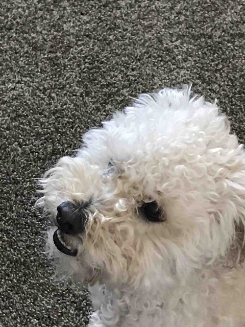 LULU
