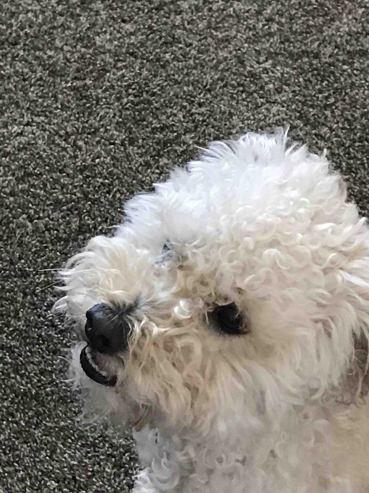 LULU