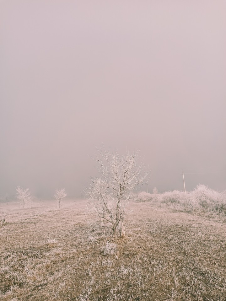 frozen