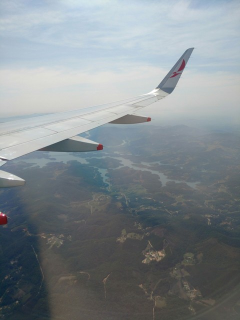 wings