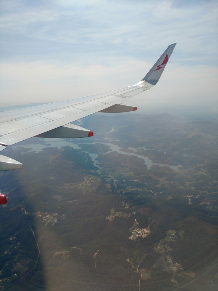 wings